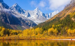 中秋国庆不知道去哪出游?看了这篇赏红叶彩林的攻略就知道了
