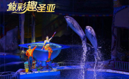 中秋国庆游大连，爱享海洋趣大连圣亚海洋世界