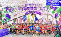 蓬莱葡萄酒国际马拉松,一场舌尖上的味觉之旅