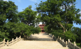 黔西南的N种玩法 | 露营除了搭帐篷睡觉，原来还能这样玩！