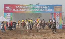 2018中国安平国际马联（FEI）耐力达标赛开赛滹沱河畔展开角逐
