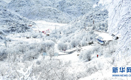 山麓艳秋山顶雪 水墨仙境在城口