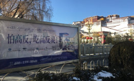 怕高反吃什么？网红蓝瓶红透拉萨全城