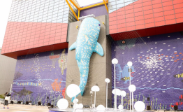 最特别的梦幻海底之旅——大阪海游馆