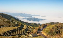 中式传统与西方文化火热碰撞