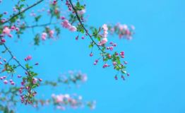 春暖花开，双山“潮”来袭！