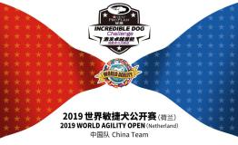 世界敏捷犬公开赛落下帷幕，冠能助力中国代表队刷新历史记录