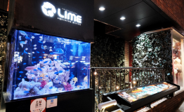 遗” 市”而独立,心斋桥上超梦幻深海美味天堂——心斋桥LIME
