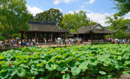 数字化领航姑苏古城，苏州市文广旅局创新线上营销闭环