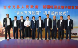 吉木乃县与新疆旺源生物科技合作打造骆驼主题旅游园
