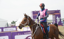 国际三星级马术耐力赛在中国砀山举行北京骑手贾惠林勇摘桂冠