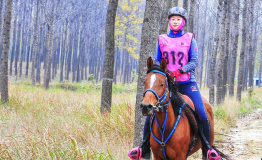 国际三星级马术耐力赛在中国砀山举行中国内地首位三星级女骑手诞生