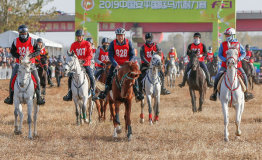 2019中国安平国际马术耐力赛开赛