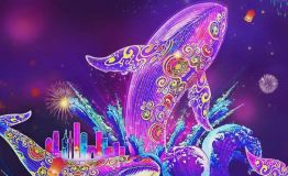 临沂之夜花灯艺术节邀您共赏