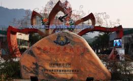 聚焦盘点：重庆铜梁第二届中华龙灯艺术节！