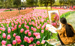 重庆主城百万株郁金香花海3月15日开园游客须知