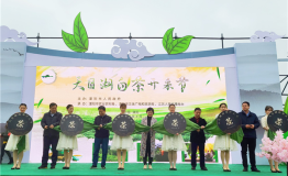 踏青寻春，2020天目湖白茶开采节成功举办